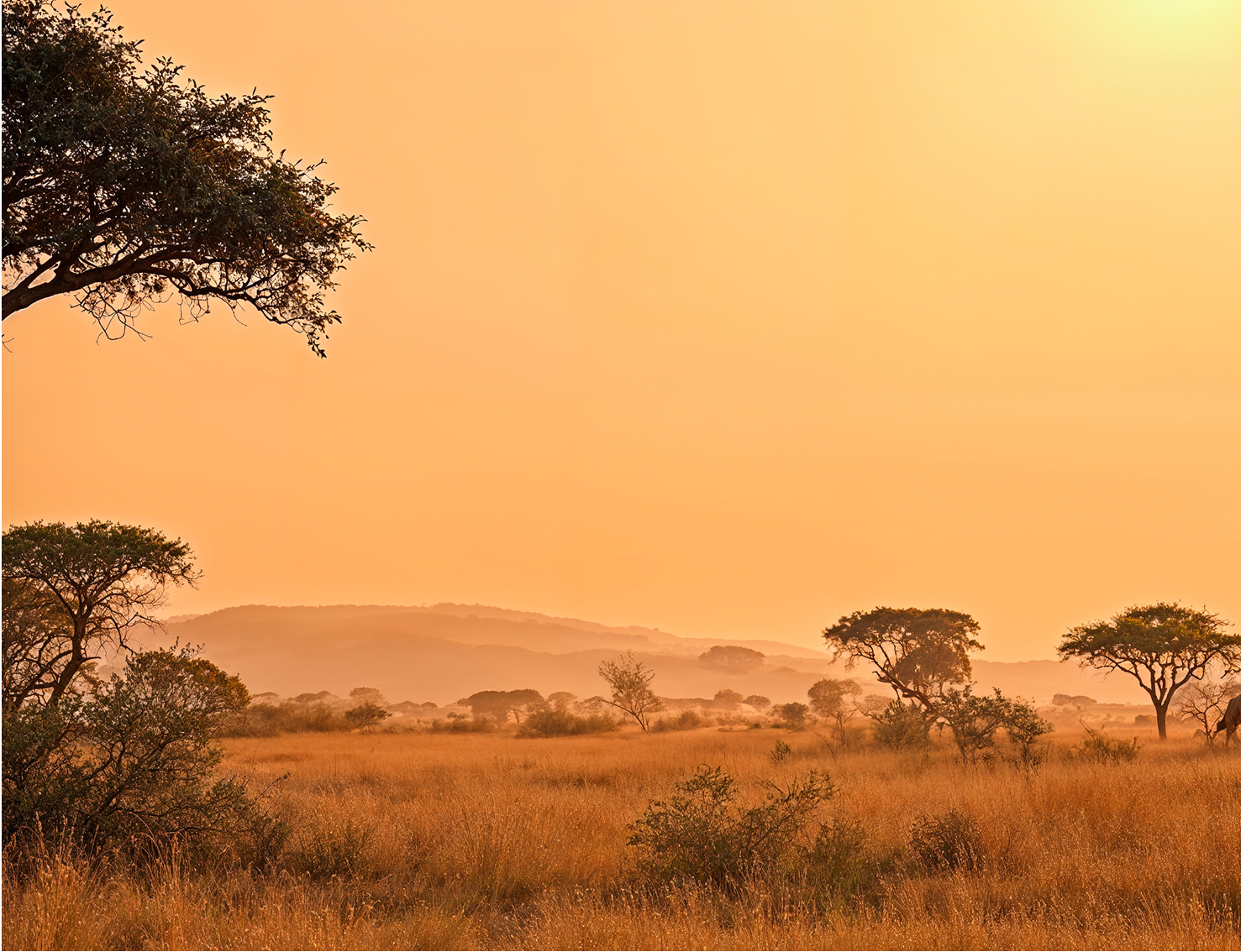 Land Tenure Rights